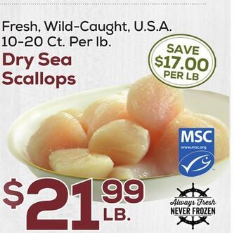 DeCicco & Sons Dry sea scallops offer