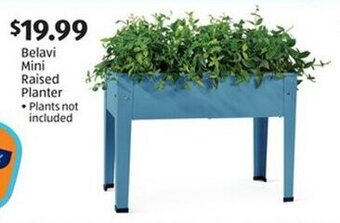 Aldi Belavi Mini Raised Planter offer