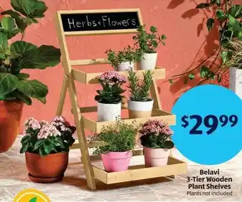 Aldi Belavi 3-Tier Wooden Plant Shelves Plants not included offer
