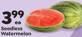 Save a Lot Seedless Watermelon offer