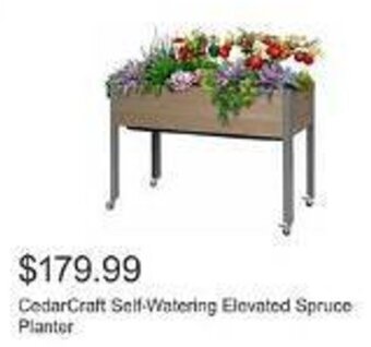 Costco CedarCraft Self-Watering Elevated Spruce Planter offer