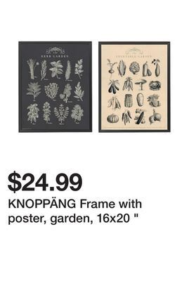 Ikea Knoppäng frame with poster, garden, 16x20 offer