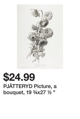 Ikea Pjätteryd picture, a bouquet, 19 ¾x27 ½ offer