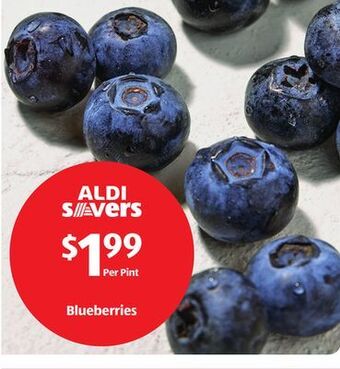 Aldi Blueberries offer