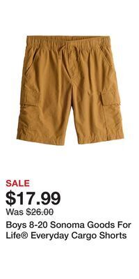 Kohl's Boys 8-20 sonoma goods for life® everyday cargo shorts offer