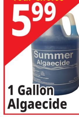 Ocean State Job Lot Summer algaecide, 1 gal offer