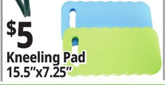Ocean State Job Lot Kneeling pad offer