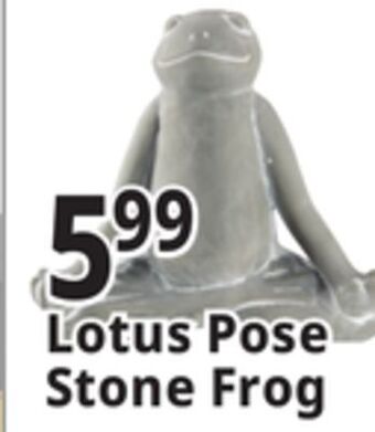 Ocean State Job Lot Stone frog statue offer