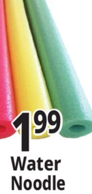 Ocean State Job Lot Assorted pool noodles offer