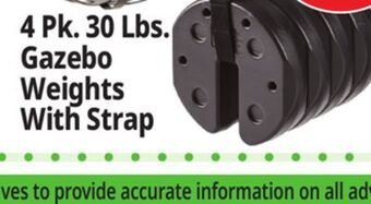 Ocean State Job Lot Us weight canopy weight plates with strap, 4-count offer