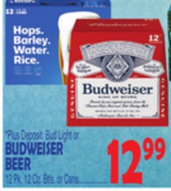 Bravo Supermarkets Budweiser beer offer