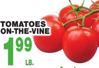 Bravo Supermarkets Tomatoes on-the-vine offer