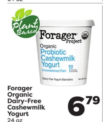 Weis Markets Forager organic dairy-free cashewmilk yogurt offer