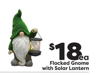 Weis Markets Flocked gnome with solar lantern offer