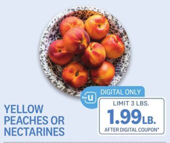 Kings Food Markets Yellow peaches or nectarines offer