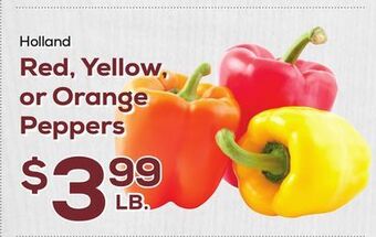 DeCicco & Sons Red, yellow, or orange peppers offer