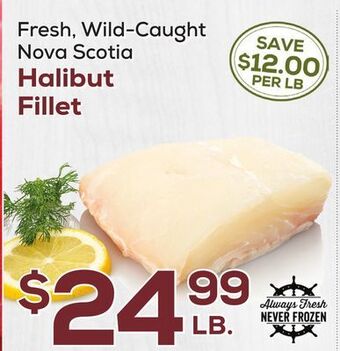DeCicco & Sons Nova scotia halibut fillet offer