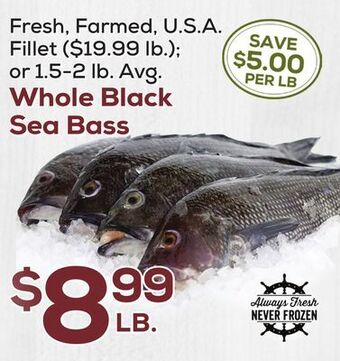 DeCicco & Sons Whole black sea bass offer