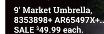 Ace Hardware 9' market umbrella offer