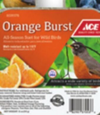 Ace Hardware Ace® 11-oz. bird suet offer