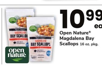ACME Open nature® magdalena bay scallops offer