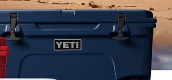 Ace Hardware Tundra® haul® 55 cooler offer