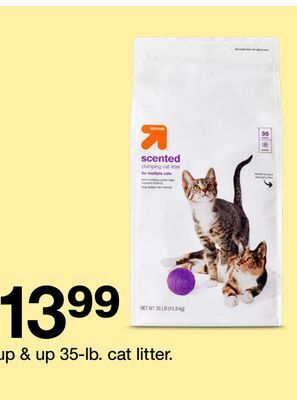 Target Up & up 35-lb. cat litter offer