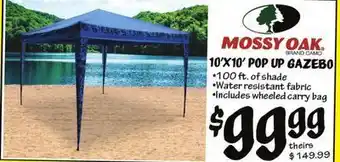 Ollie's Mossy oak 10'x10' pop up gazebo offer