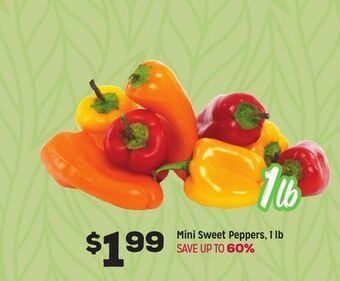 Grocery Outlet Mini sweet peppers offer