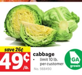 Lidl Cabbage offer