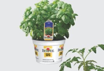 The Home Depot #6 vegetables & herbs offer