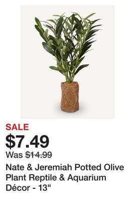 Petsmart Nate & jeremiah potted olive plant reptile & aquarium décor - 13 offer