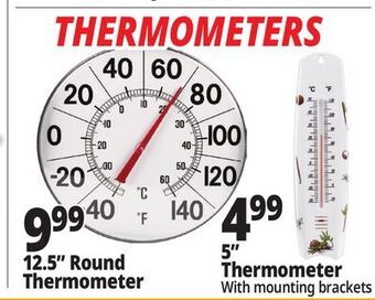Ocean State Job Lot Thermometers offer