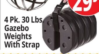 Ocean State Job Lot Us weight canopy weight plates with strap, 4-count offer