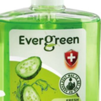 Ocean State Job Lot Evergreen fresh cucumber antibacterial hand soap, 17 oz offer