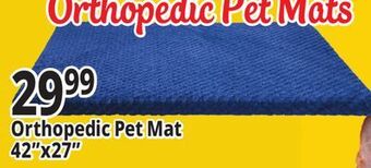 Ocean State Job Lot Orthopedic pet mats offer