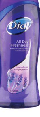 Ocean State Job Lot Dial body wash offer