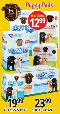 Ocean State Job Lot Puppy pads offer