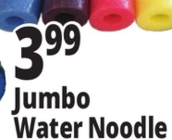 Ocean State Job Lot Jumbo water noodle offer