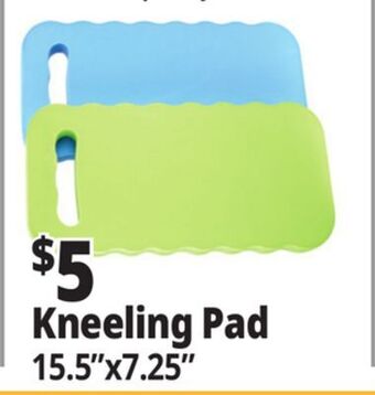 Ocean State Job Lot Kneeling pad offer