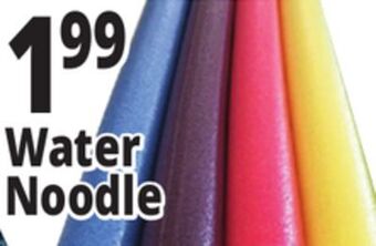 Ocean State Job Lot Assorted pool noodles offer