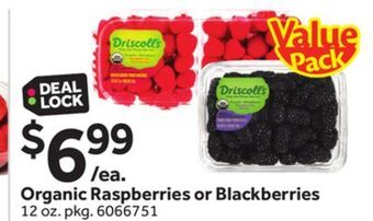 Stop&Shop Organic raspberries or blackberries offer