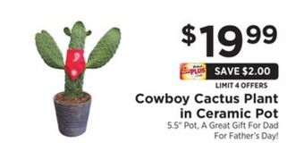 ShopRite Cowboy cactus plant in ceramic pot offer