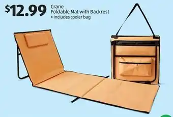 Aldi Crane Foldable Mat with Backrest • Includes cooler bag offer