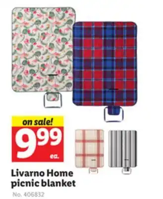 Lidl Livarno home picnic blanket offer