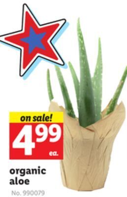 Lidl Organic aloe offer