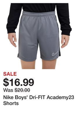 Dick's Sporting Goods Nike boys' dri-fit academy23 shorts offer