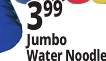 Ocean State Job Lot Jumbo water noodle offer