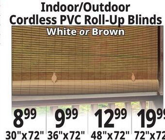 Ocean State Job Lot Indoor/outdoor cordless pvc roll-up blinds offer