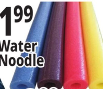 Ocean State Job Lot Water noodle offer